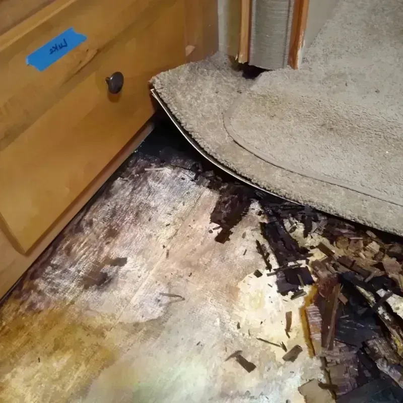 Wood Floor Water Damage in Glassmanor, MD